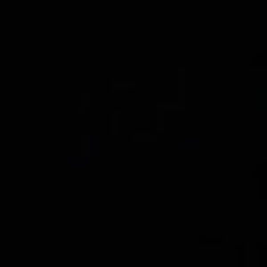 Meet your Posher, Kenzie